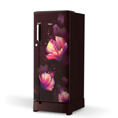 Picture of Whirlpool REF 205 IMPC ROY 2S WINE BELIT-Y73598