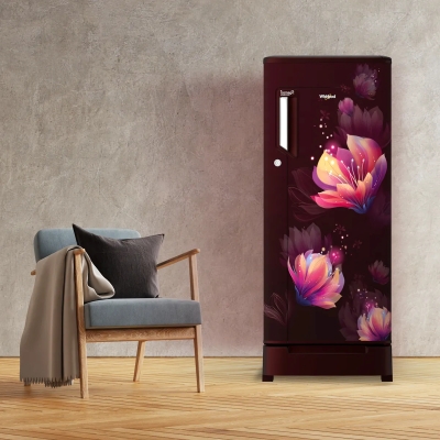 Picture of Whirlpool REF 205 IMPC ROY 2S WINE BELIT-Y73598