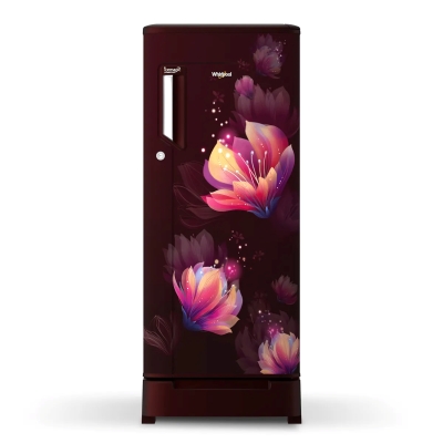 Whirlpool REF 205 IMPC ROY 2S WINE BELIT-Y73598