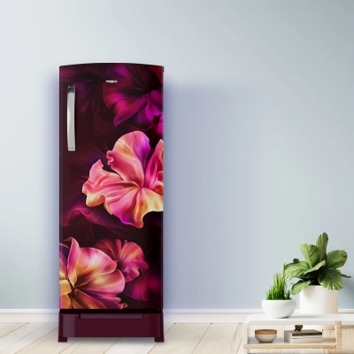 Picture of Whirlpool REF 215 IMPROROY 5SINV WN Silk-Y73691