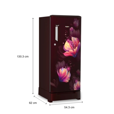 Picture of Whirlpool REF 205 IMPC ROY 2S WINE BELIT-Y73598