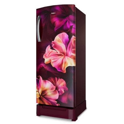 Picture of Whirlpool REF 215 IMPROROY 5SINV WN Silk-Y73691